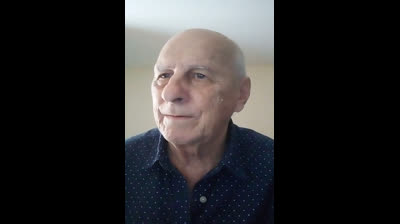 American gigolo - Weezer cover song