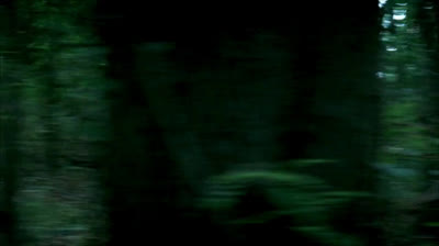 Prison break T.2 ep 1