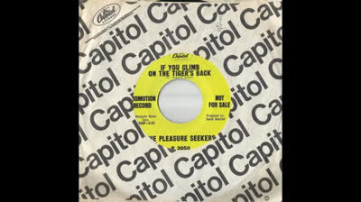 PLEASURE SEEKERS (1967) - If You Climb On The Tiger's Back