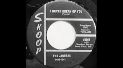 Jaguars (1966) - I Never Dream Of You