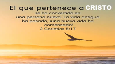 EL, ES TU SALVADOR (JESUS ESTA AQUI) - ADORACION Y ALABANZA