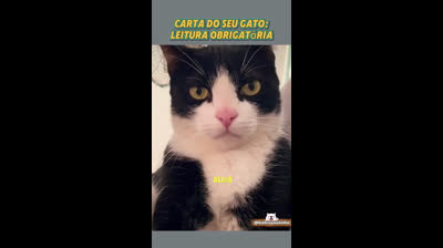 CARTA DO GATO AO SEU DONO