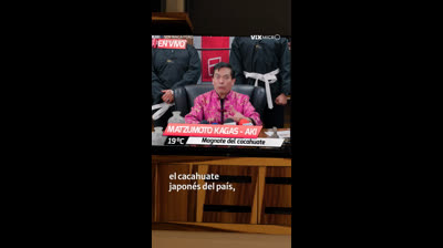 Soy Naca Pero Millonaria microserie capitulo 1 Los Japoneses