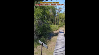 MARAVILLOSO OBSERVATORIO DE AVES‼️PaRQue NAcIoNAL Rio PILCOMAYO, Formosa