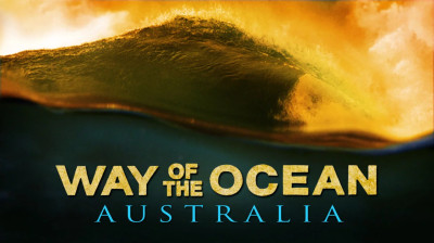 Asher Pacey y Kelly Slater recorren las olas salvajes de Australia | Way of the Ocean: Australia