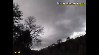 My luciferian blood - otoño ( black edition )