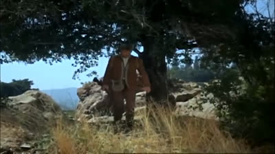 Daniel boone 10 Iocr7a Ctupasion
