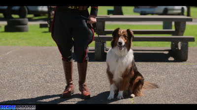 O Resgate de Ruby-dublado-2022-1080p