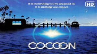 cocoon (1985)
