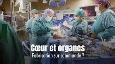 Cœur et organes fabrication sur commande?
