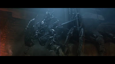Alien vs Predator (04)