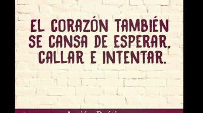 SE CANSO MI CORAZON  (CANCION)