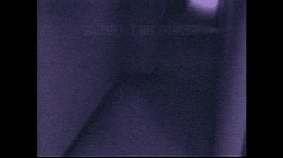 The X Files 01x21 Tooms