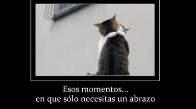 ESOS MOMENTOS  (CANCION)