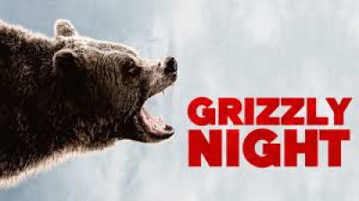 grizzly night (2026)