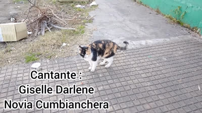 Novia Cumbianchera Anclado en tu ausente canta Giselle﻿ Romina Castillo Vargas