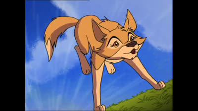 21 Le coyote qui n'a pas de nom