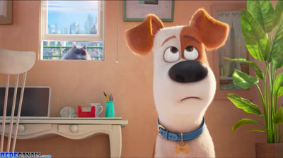 Pets - A Vida Secreta dos Bichos (2016)