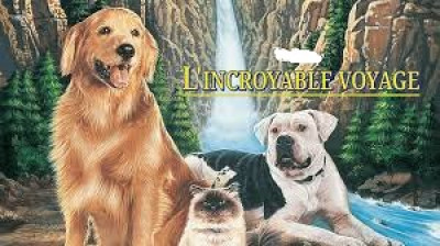 L'incroyable Voyage (1963)