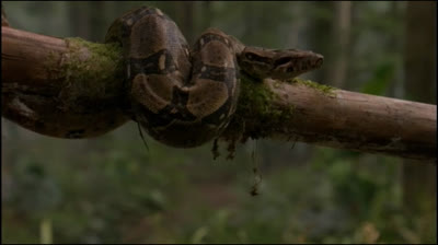 SG1 S7E11 La fontaine de jouvence partie 1