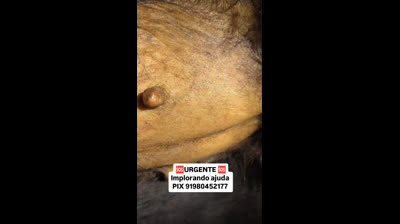 VT AJUDA PARA  A DOG PRINCESA