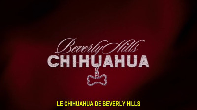 Le chihuahua de Beverly Hills_2008