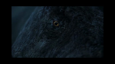 The dinosaurs tiranosaur t-rex