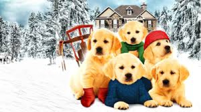Un Noël de rêve (Golden Winter)