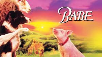 babe,le cochon devenu berger (1995)