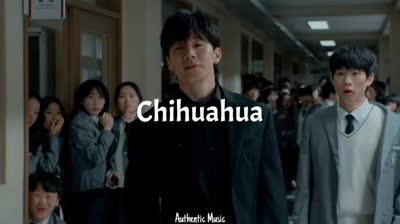 Wah Wah Wah - Chihuahua (Lyrics) From Teach You a Lesson