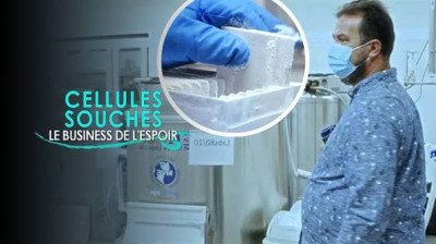 Cellules souches - Le business de l'espoir
