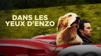 dans les yeux d'enzo (2019)