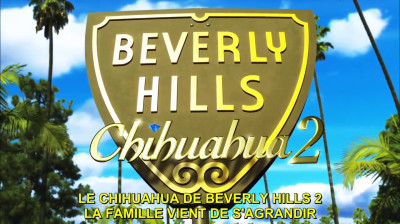 Le chihuahua de Beverly Hills 2_2011