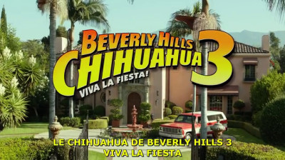 Le chihuahua de Beverly Hills 3_2012