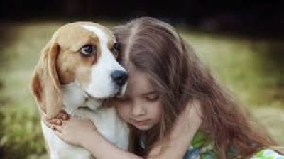 Des animaux à aimer