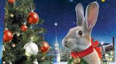 Le Noël de Julia (The Christmas bunny)