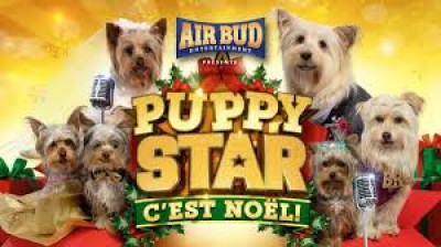 Puppy Star - c’est Noël !