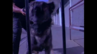 Renegade 02x02