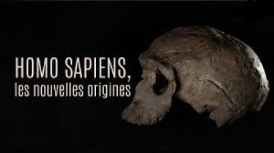 Homo sapiens, les nouvelles origines