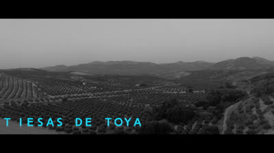 DE TUGIA A PEAL DE BECERRO
