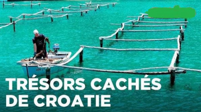 Croatie, les trésors de l'Adriatique