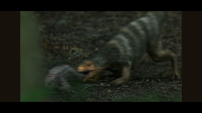 Survivig Earth (2026)-Ischigualastia vs. Panphagia
