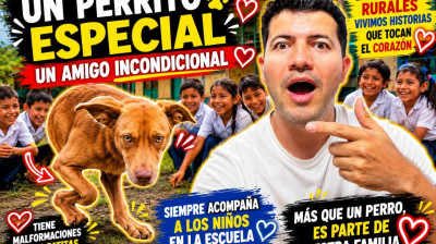 Un perrito especial visita la escuela