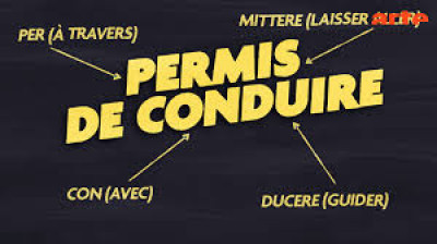 permis de conduire (2026)