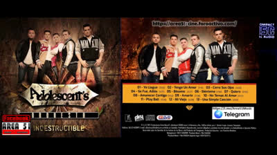 ADOLESCENT´S ORQUESTA - INDESTRUCTIBLE (2015)(MP3)