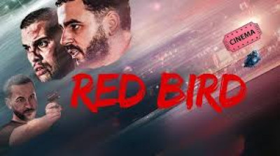 red bird (2026)