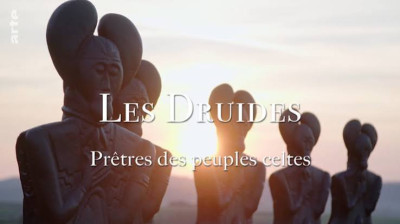 Les druides, prêtres des peuples celtes