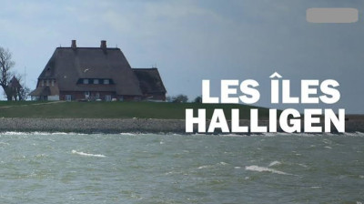 Les îles Halligen, sous le joug des inondations