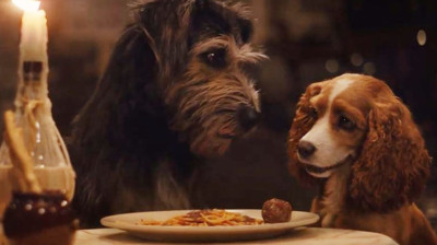 La Dama y El Vagabundo (2019)