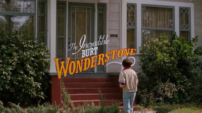 L' incroyable Burt Wonderstone_2013